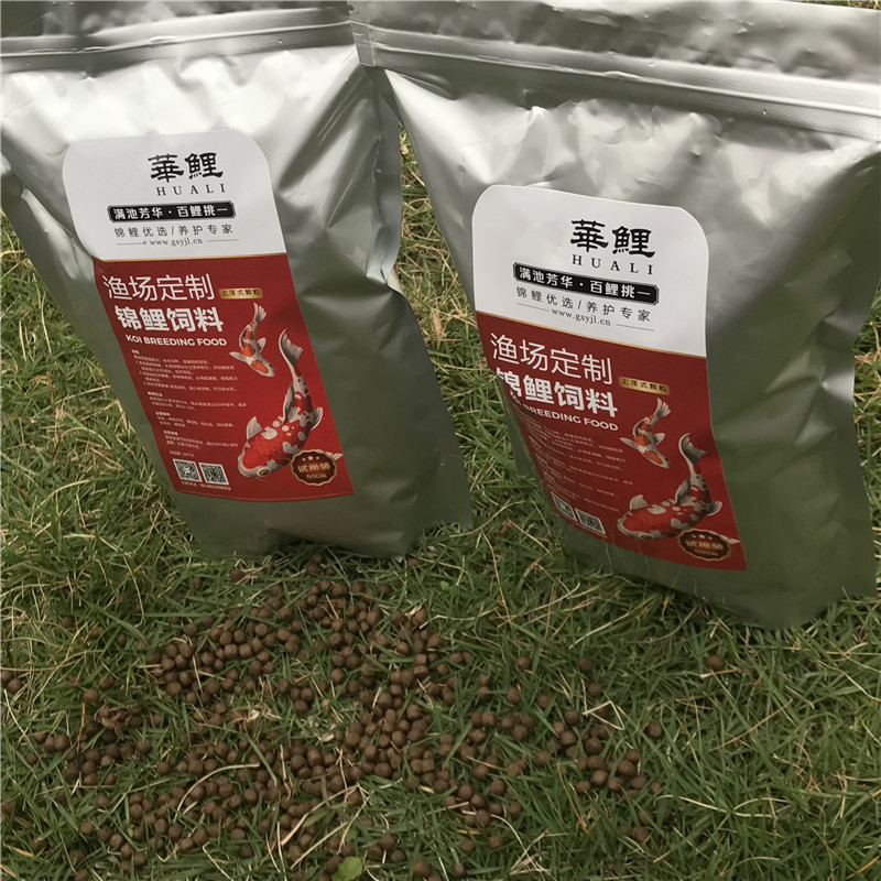 怎样养锦鲤，鱼的色泽才会艳丽好看呢？