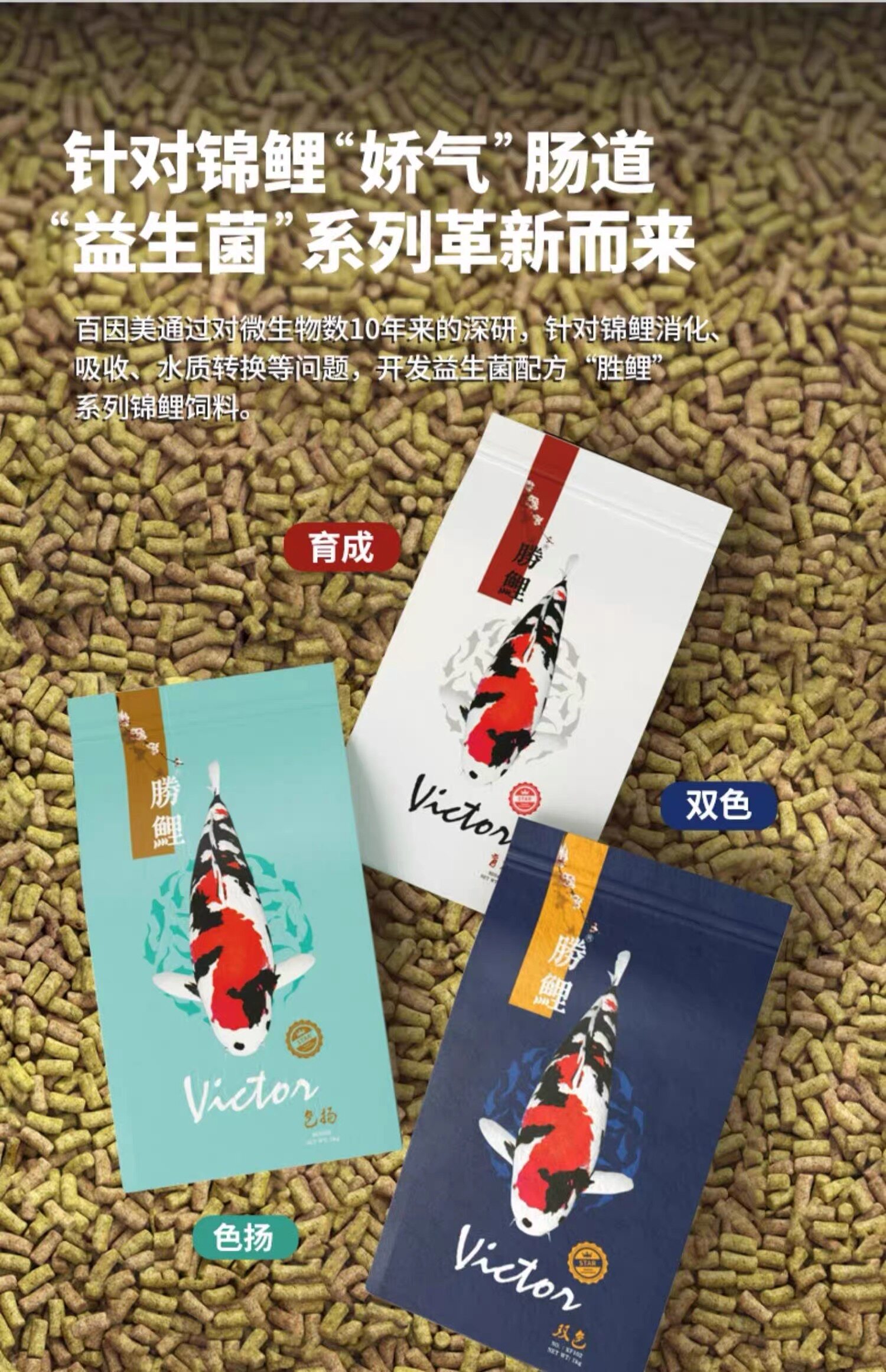 锦鲤饲料