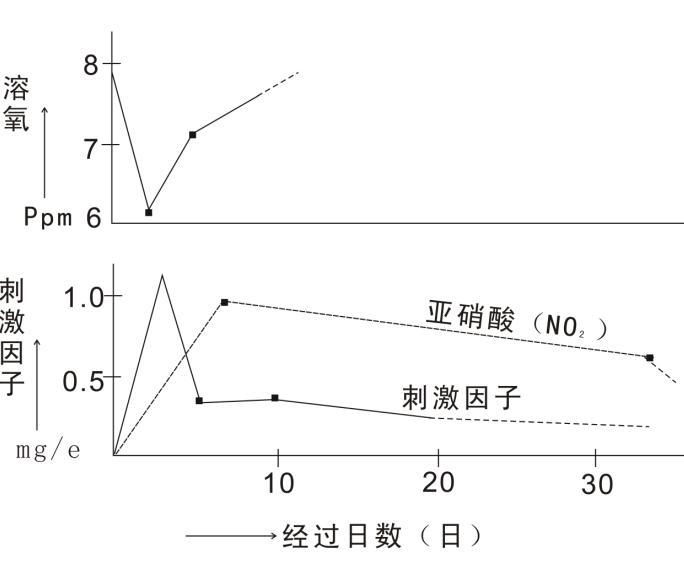 锦鲤烂腮