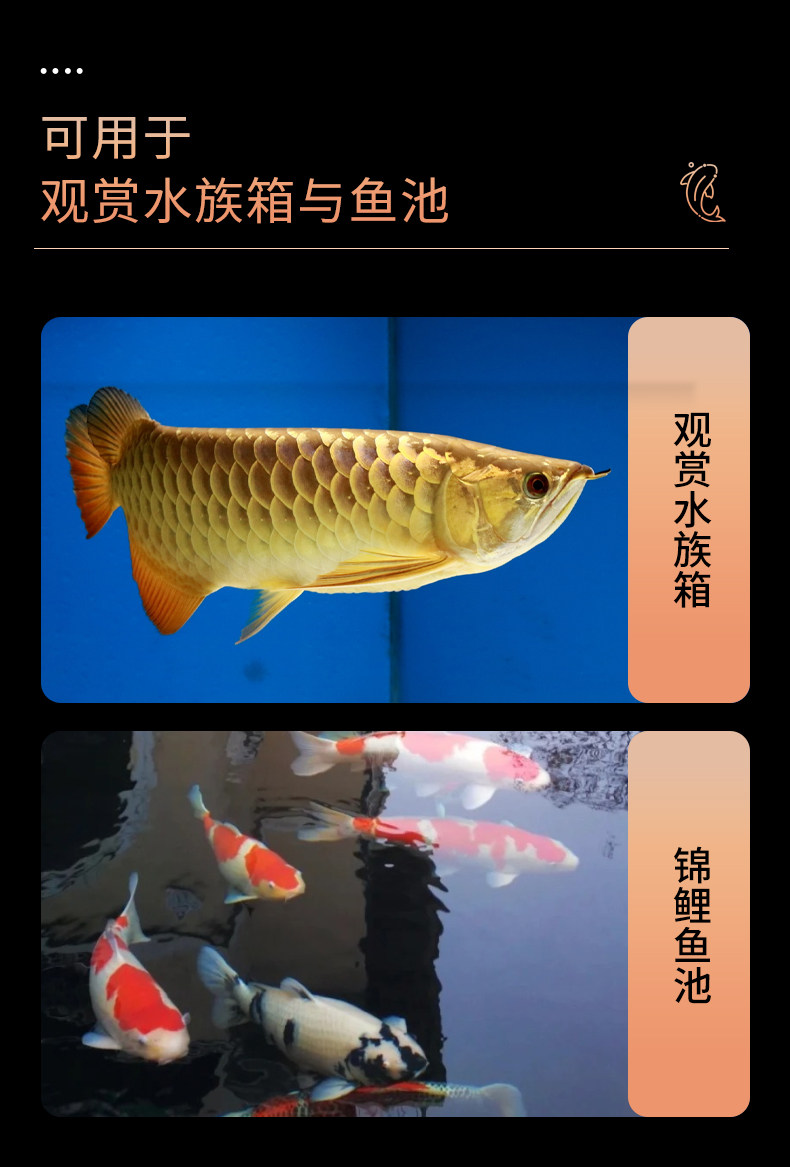 元气水